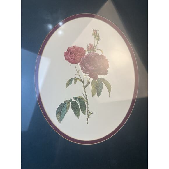 Botanical Framed Picture Classic Decor 13x15 Antique Gold Frame - Picture 6 of 9